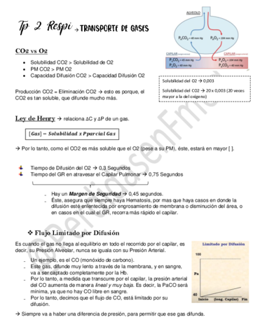 TP-2-Transporte-de-Gases.pdf
