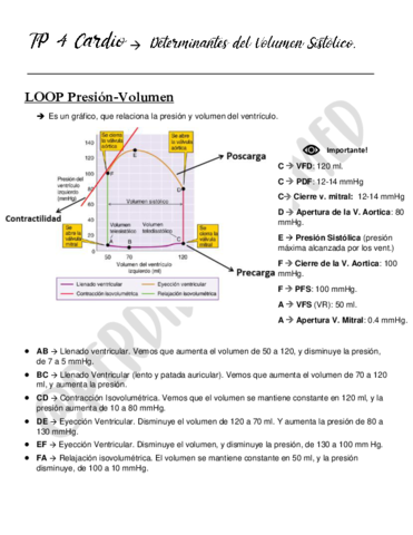 4-Determinantes-del-volumen-sistolico.pdf