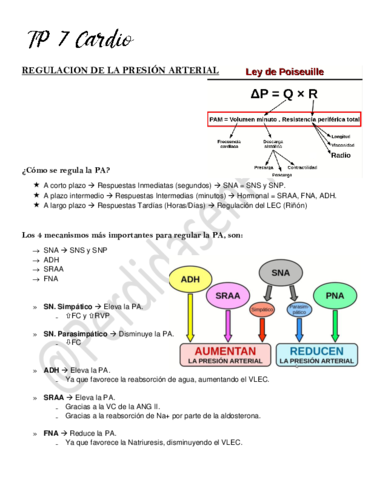 7-Regulacion-de-la-presion-arterial.pdf