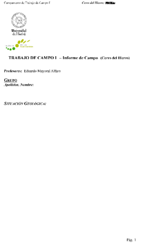 Plantilla-para-Informe.pdf