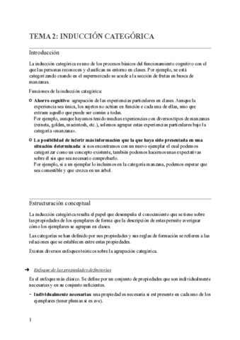 TEMA-2-INDUCCION-CATEGORICA-.pdf