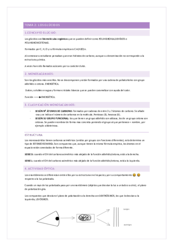 TEMA-2-lila-COMPLETO.pdf