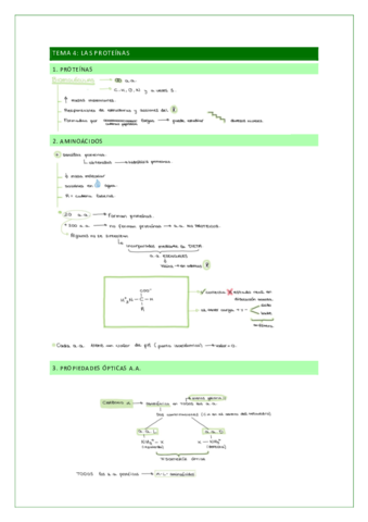 TEMA-4-verde-COMPLETO.pdf