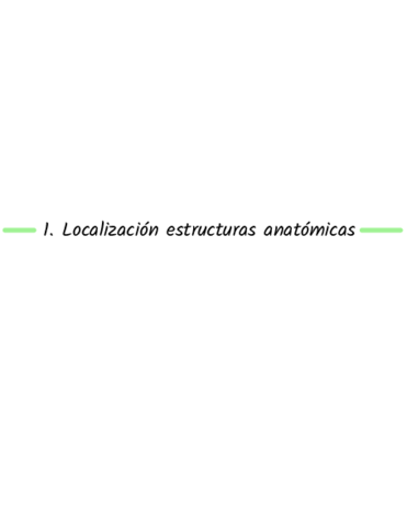 T1.Localización estructuras anatomicas