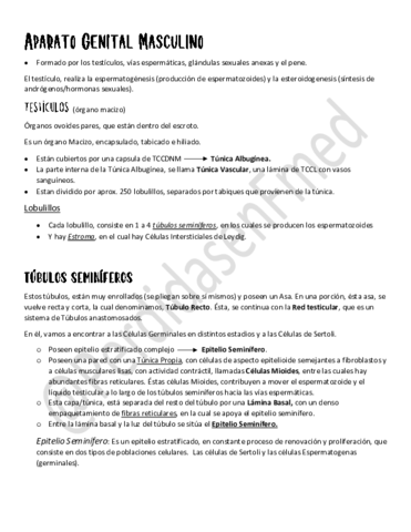 Aparato-Genital-Masculino.pdf