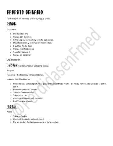 APARATO-URINARIO.pdf