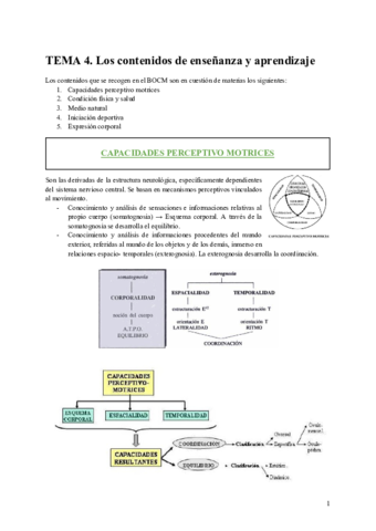 TEMA-4-CONTENIDOS-E-A.pdf