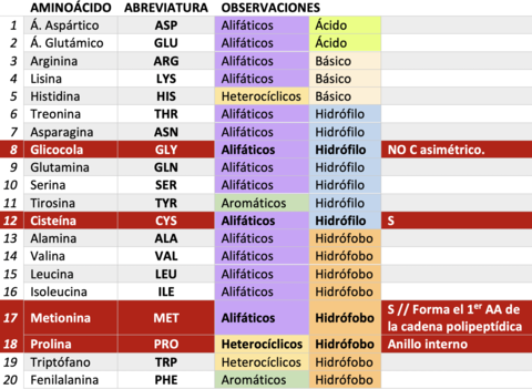 Aminoacidos.png