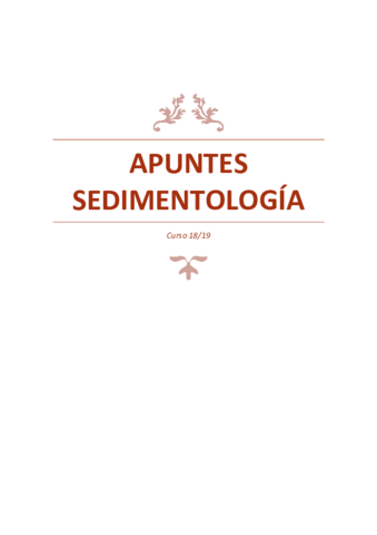 APUNTES-SEDIMENTOLOGIA.pdf