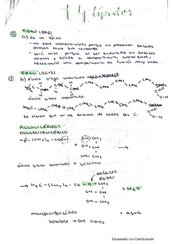 t4lipidos.pdf