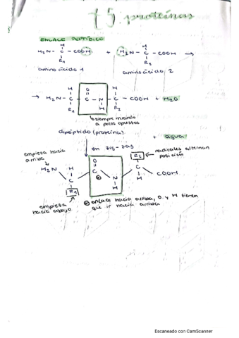 t5proteinas.pdf