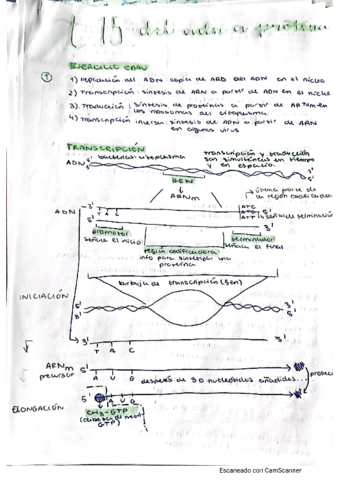 t15adnaproteinas.pdf
