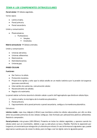 Tema-4-BIOLOGIA.pdf