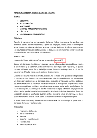 Informe-1-FISICA.pdf