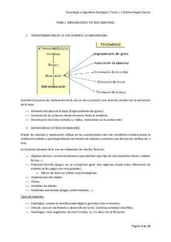 Tema 1.pdf