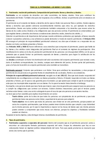 Tema-10-civil.pdf