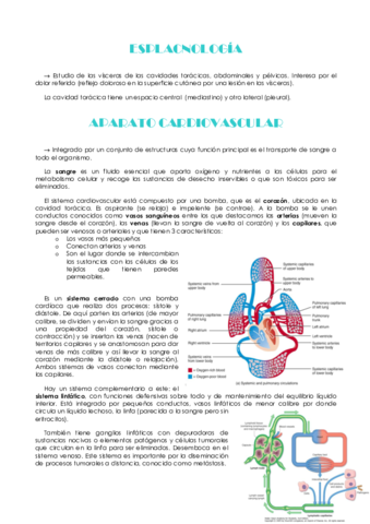 Tema-1-Sistema-Cardiovascular.pdf