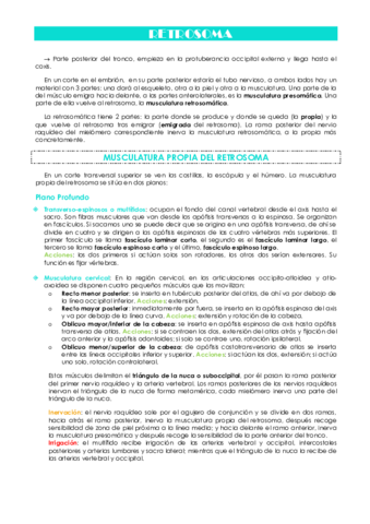 Tema-3-Retrosoma.pdf