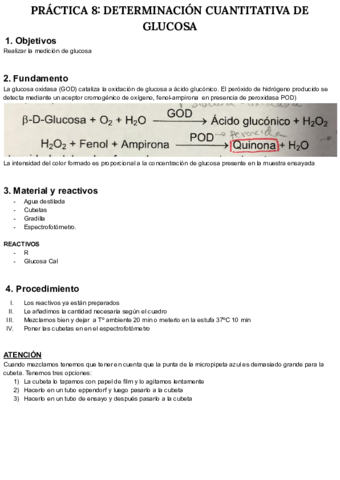PRACTICA-N-8-BIOQUIMICA.pdf