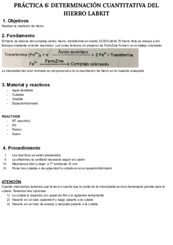 PRACTICA-N-6-BIOQUIMICA.pdf
