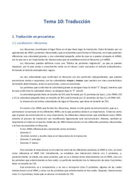 T8. Transporte del mRNA al citoplasma.pdf