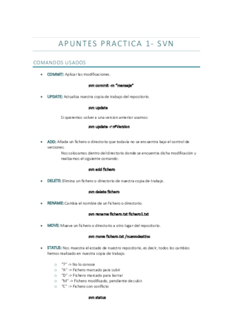 apuntes-practica-1.pdf