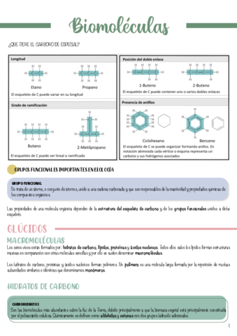 T2-Biomoleculas-.pdf