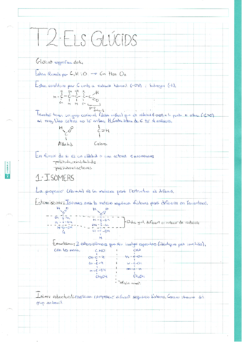 T2-Glucids.pdf