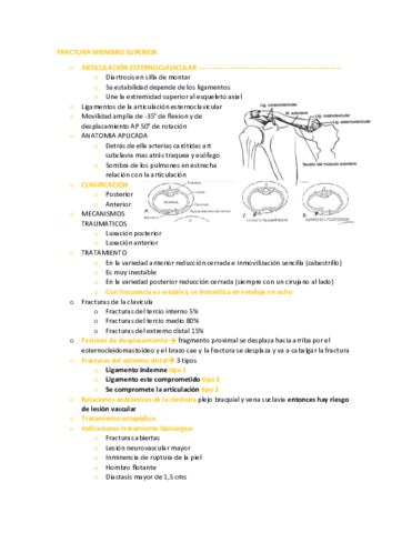 FRACTURA-MIEMBRO-SUPERIOR.pdf