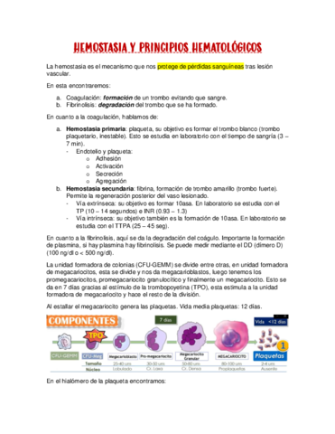 Hemostasia-y-principios-hematologicos.pdf