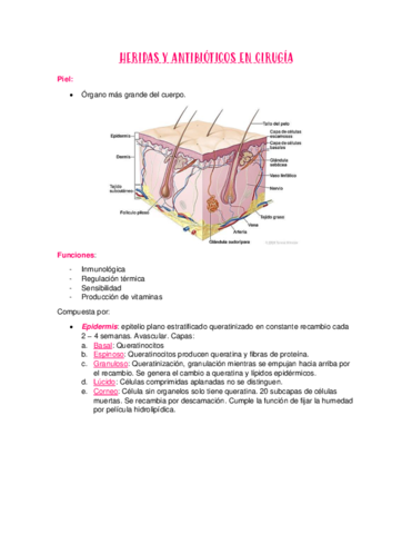 HERIDAS-Y-ANTIBIOTICOS-EN-CIRUGIApdf.pdf