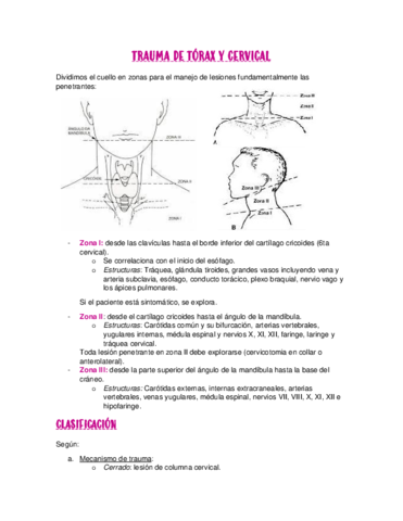 TRAUMA-DE-TORAX-Y-CERVICAL-1.pdf