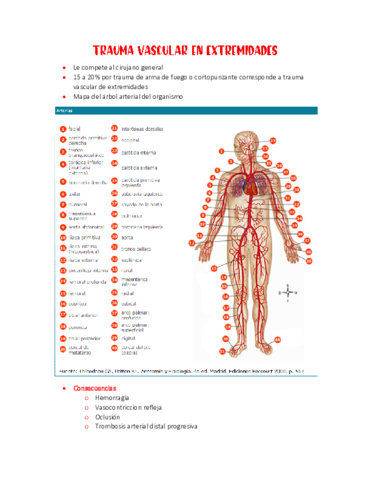 TRAUMA-VASCULAR-en-extremidades.pdf