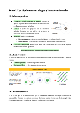Tema-1.pdf
