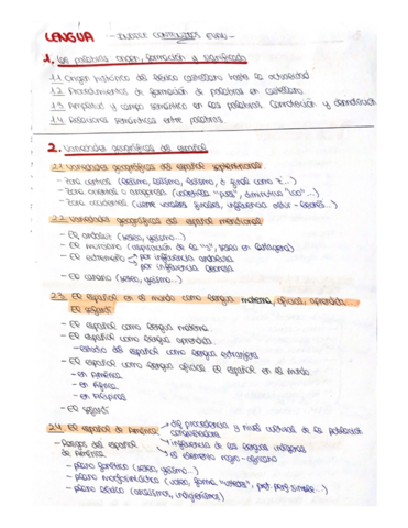 Lengua Temas EVAU pdf