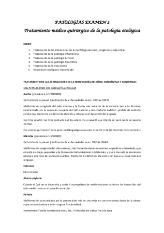 PATO-examen-2.pdf