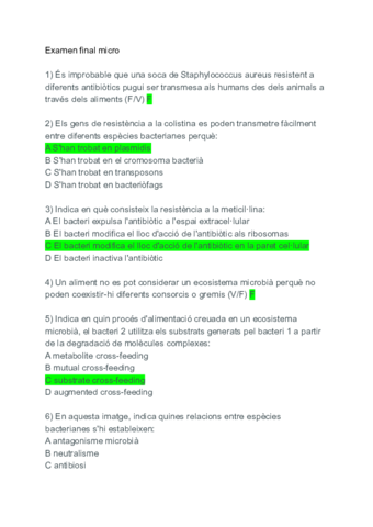 Examen-final-micro-amb-respostes.pdf