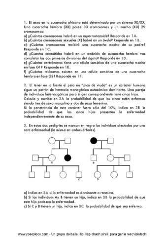 EXAM GENETIC QUESTION.pdf