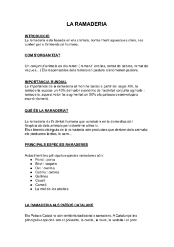RAMADERIA.pdf