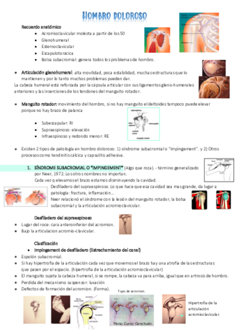 miembro-superior-trauma.pdf