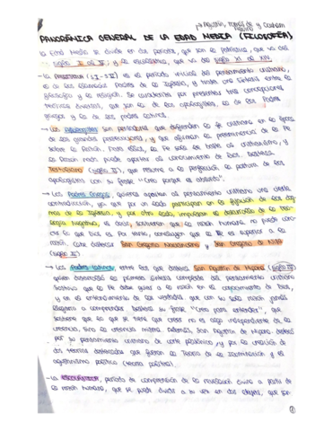 Panoramicas-Edad-Media-Antigua-Contemporaanea.pdf