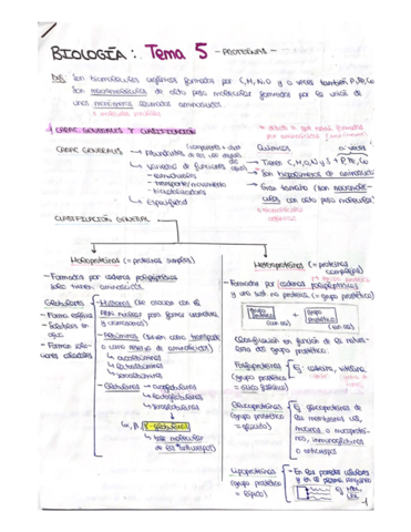 Resumen-Tema-proteinas.pdf