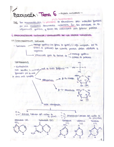 Resumen-Tema-Acidos-nucleicos.pdf