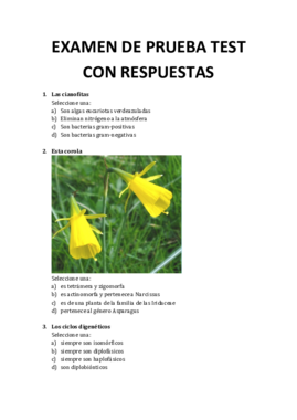 examen de prueba con respuestas.pdf