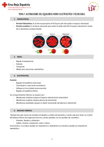 Tema-7-Clinica-I.pdf
