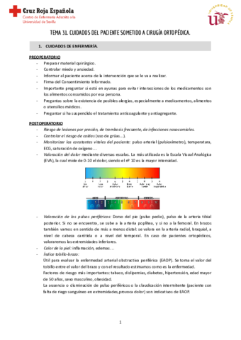 Tema-31-Clinica-I.pdf