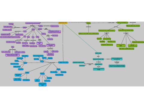 sindrome-de-patou.pdf