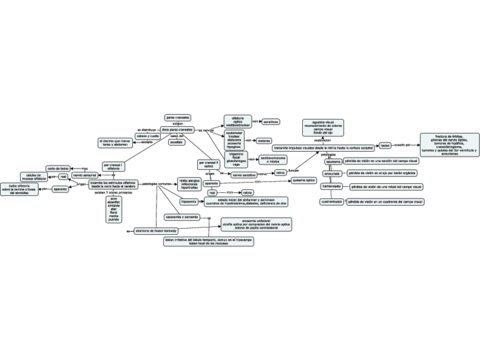 neuro.pdf