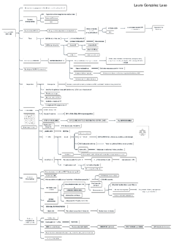 Linfomas-de-NO-HODKING.pdf