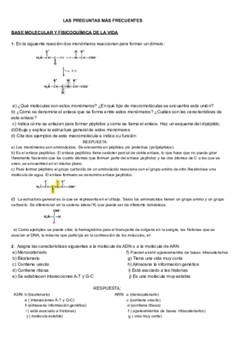 PREGUNTAS-MAS-FRECUENTES-POR-TEMAS-CON-RESPUESTAS.pdf